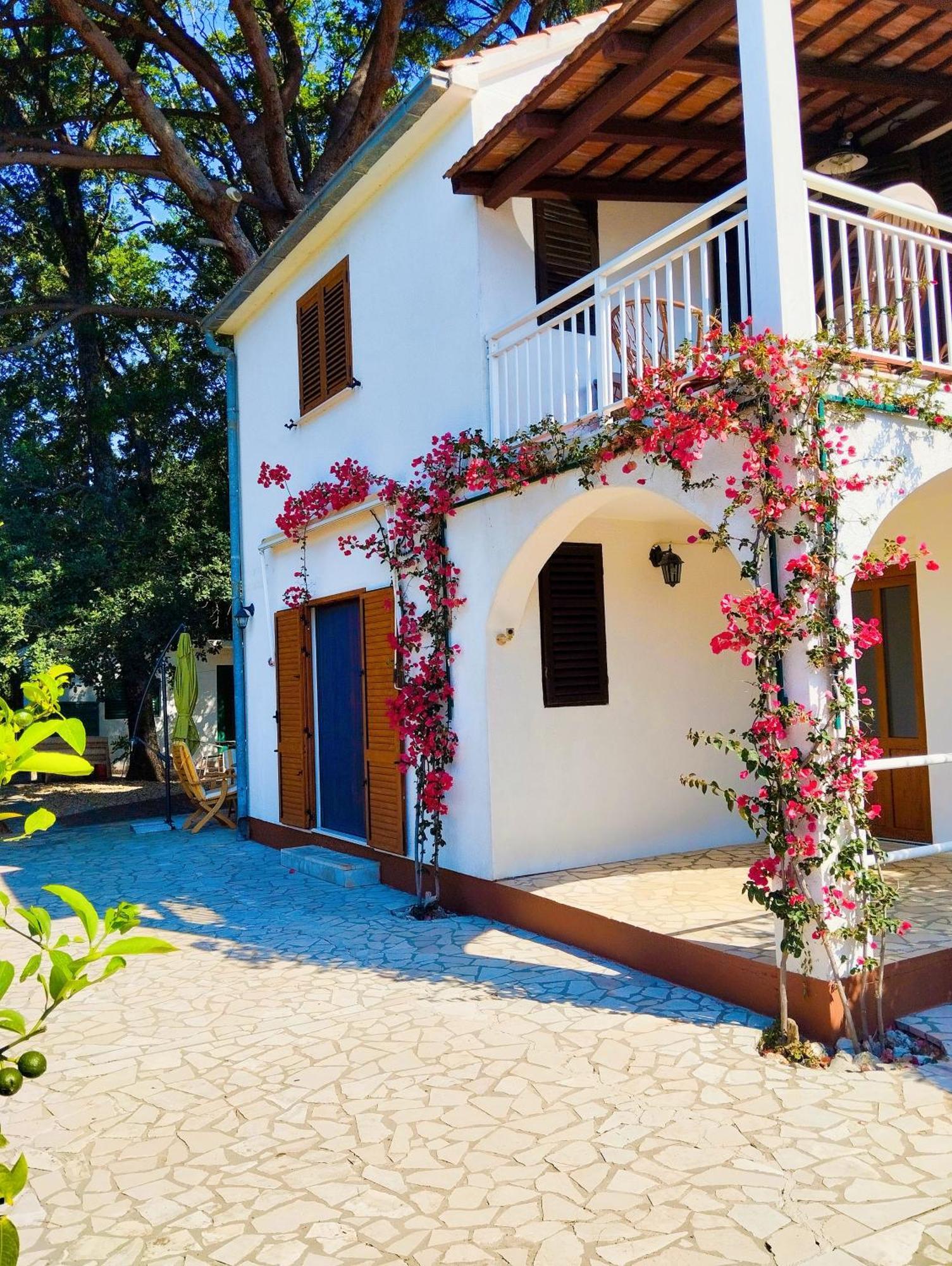Holiday House Pinus Pinea 비간즈 외부 사진