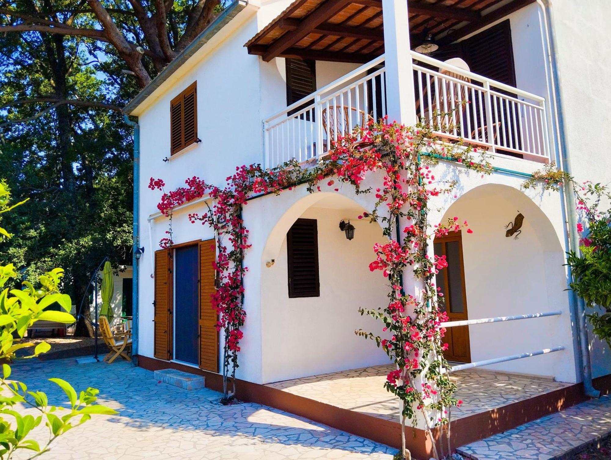 Holiday House Pinus Pinea 비간즈 외부 사진